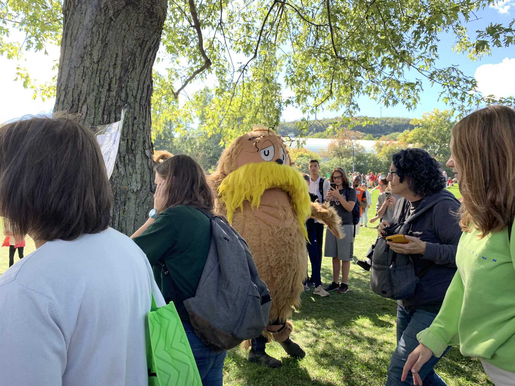 Person dressed in Lorax costume