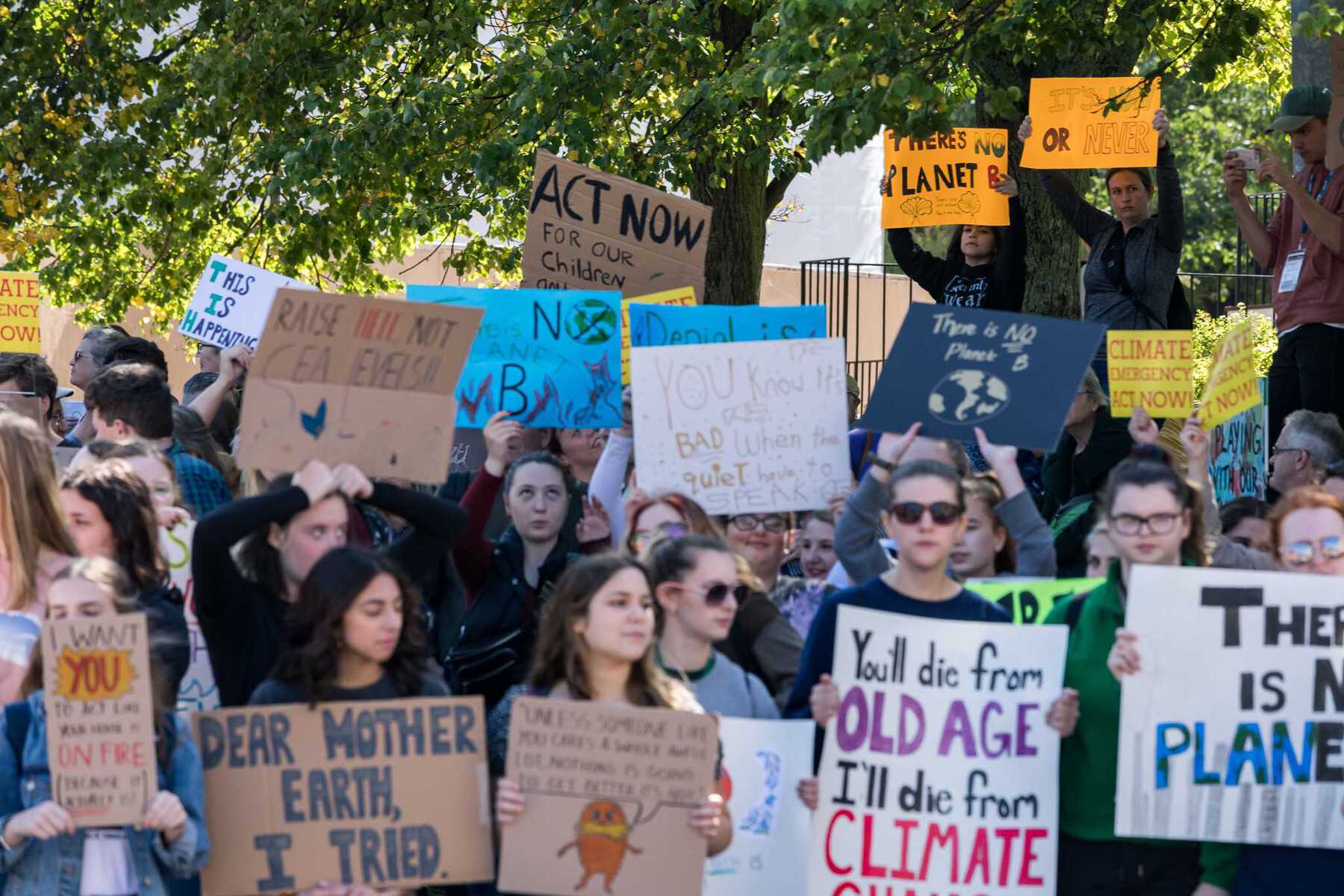 Group of people holding environmental protest signs